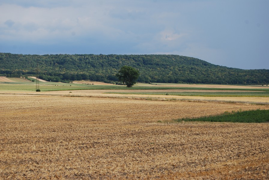 0 Blick auf Höhenrücken Lenkersheim web