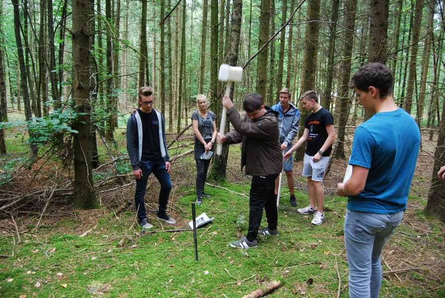 11 Pürckhauer Nadelwald web