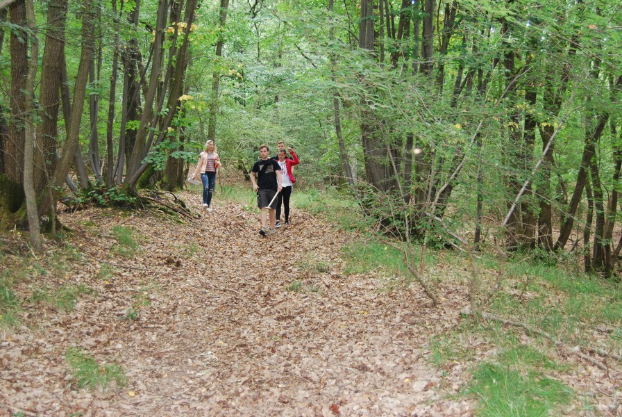 3 Marsch durch den Laubwald web