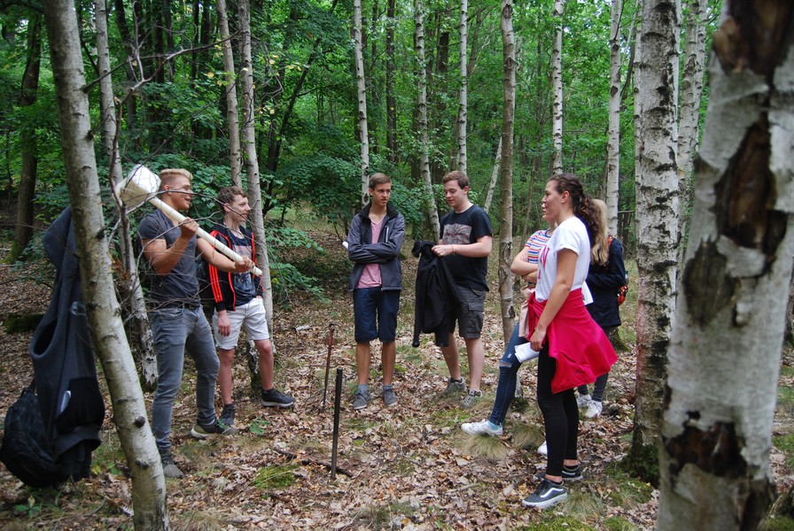 4 Pürckhauer Laubwald web