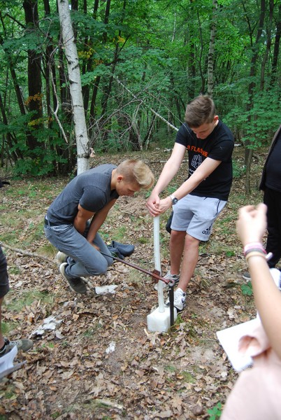 5 Pürckhauer Laubwald web