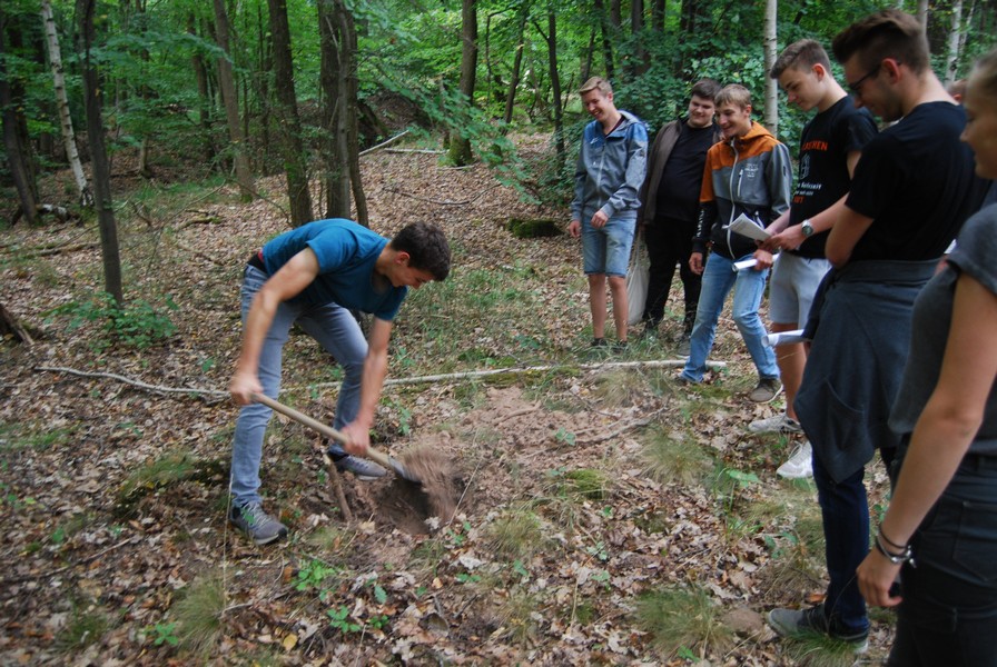 8 Spatenstich Laubwald web