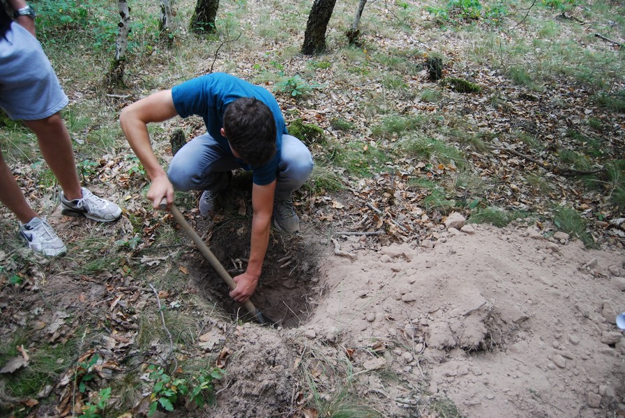 9 Spatenstich Laubwald web