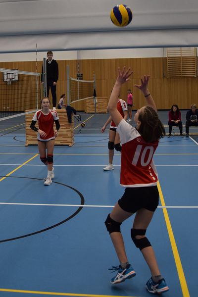 Bild 3 Steller Volleys weiblich III Annahme